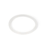 Transparenter Dichtungsring für eine Wasserfilter-Membran auf weißem Hintergrund.