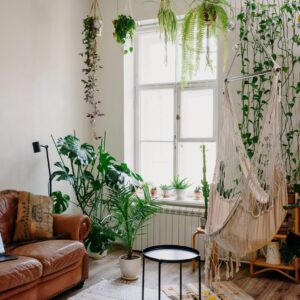 Ein helles, gemütliches Wohnzimmer mit einem braunen Ledersofa, einem Hängesessel und vielen grünen Zimmerpflanzen, die eine natürliche und entspannte Atmosphäre schaffen.