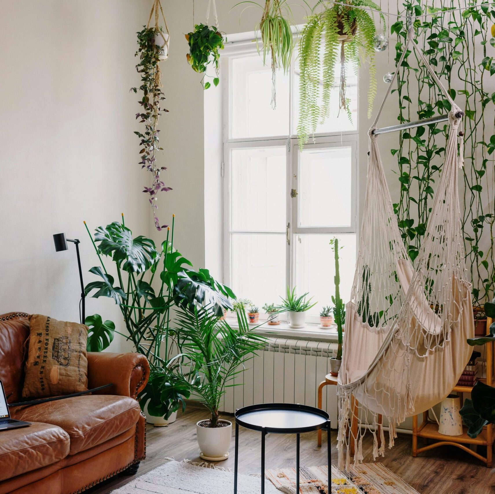 Ein helles, gemütliches Wohnzimmer mit einem braunen Ledersofa, einem Hängesessel und vielen grünen Zimmerpflanzen, die eine natürliche und entspannte Atmosphäre schaffen.