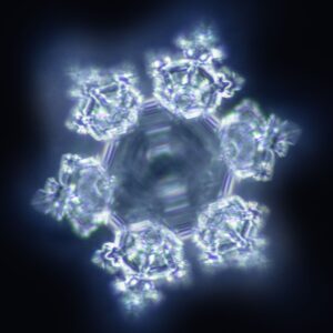 Das Logo von Lotus Vita, dargestellt als eine mikroskopische Nahaufnahme eines leuchtenden, hexagonalen Wasserkristalls auf dunklem Hintergrund.