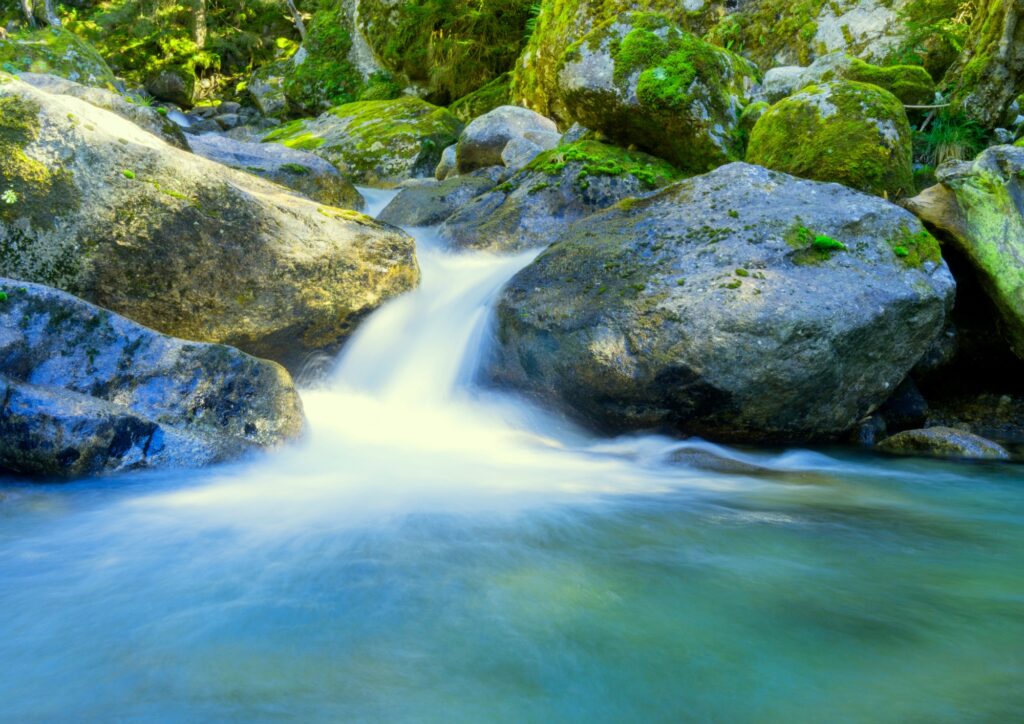 Klares Gebirgswasser fließt sanft über moosbewachsene Steine in einem sonnendurchfluteten Bach.
