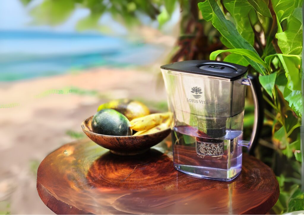 LOTUS Filterkanne am Meer